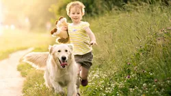 1 Tragen Sie AntiZecken oder Zeckenschutzmittel auf Ihre Hunde auf