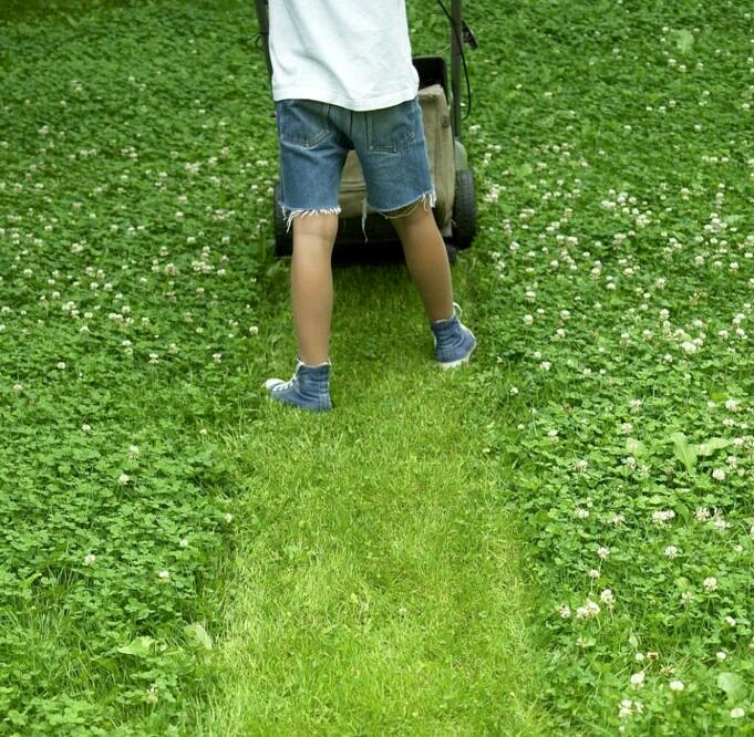 Beste Zeit Zum Bewaessern Von Gras Und Rasen Fuer Perfekte Ergebnisse